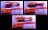 Nom du fichier=inst_guitarra_y_charango.JPG
Taille du fichier=91Ko
Dimensions : 1198x747
Ajouté le : 17 Juin 2013 inst_guitarra_y_charango.JPG