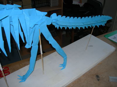 DSCN9942.JPG