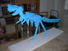 DSCN9946.JPG