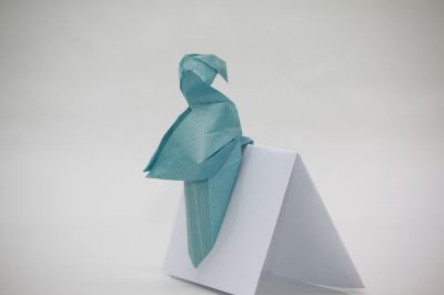 Mon Peroquet
