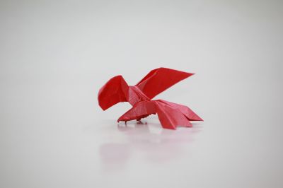 Mon Rapace
