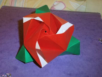 magic rose cube
