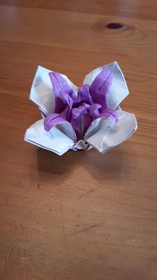 Fleur de cerisier de Pham Hoang Hai
kraft + soie 20*20
