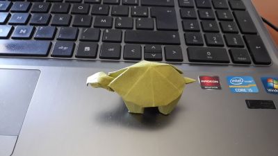 Tortue de Lionel Albertino (safari origami)
Tant 15*15
