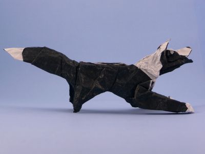 Chien berger de Quentin Trollip
papier sandwich 40*40
