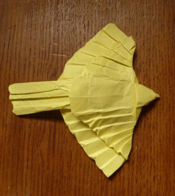 moineau jaune
