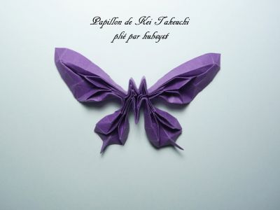 papillon
