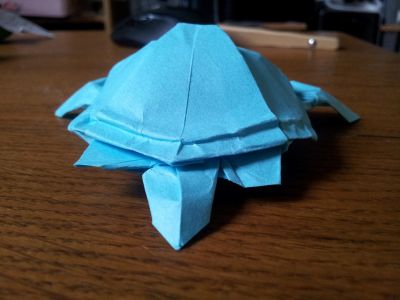 tortue v2 derrière
