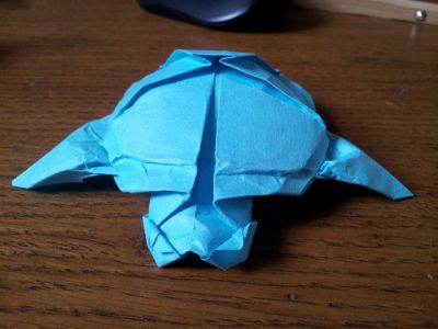 tortue v2 devant
