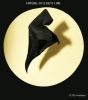 Nom du fichier=fantome_au_clair_de_lune3.jpg
Taille du fichier=156Ko
Dimensions : 1816x2048
Ajouté le : 28 Avril 2014 fantome_au_clair_de_lune3.jpg