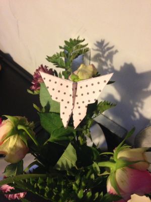 Butterfly
