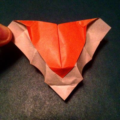 the head of the tiger
