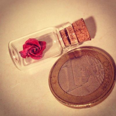 rose
