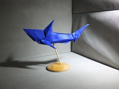 Requin 
