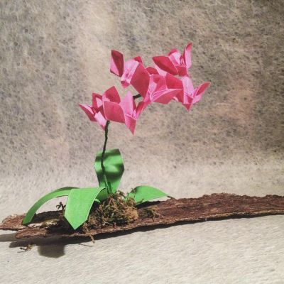 Fragility
