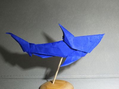 requin 
