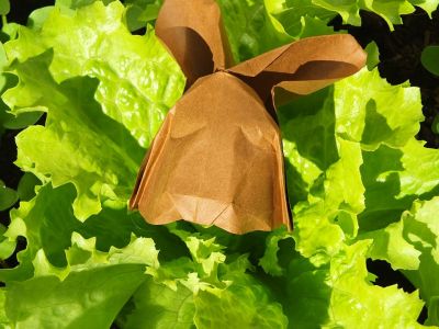 Saladream
Plié dans un disque
