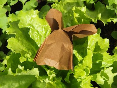 saladream
plié dans un disque
