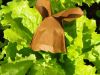 Nom du fichier=saladream.jpg
Taille du fichier=121Ko
Dimensions : 960x720
Ajouté le : 19 Juin 2016 saladream.jpg