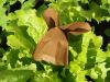 Nom du fichier=saladream_2.jpg
Taille du fichier=109Ko
Dimensions : 960x720
Ajouté le : 19 Juin 2016 saladream_2.jpg