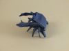 shore_crab_28329.jpg