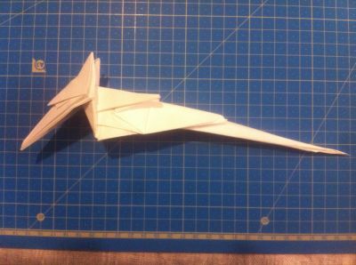 photo_1~2.JPG