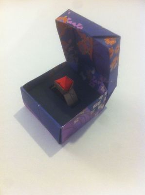 photo_2~0.JPG