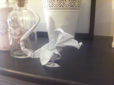photo_6~0.JPG