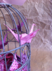 cage4.png
