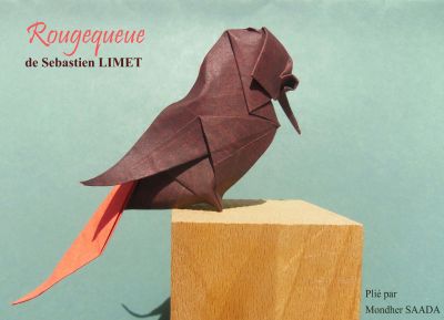Rougequeue_de_Sebl_28129.jpg