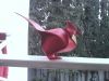 IMG_20141214_143949.jpg
