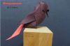 Rougequeue_de_Sebl_28229.JPG