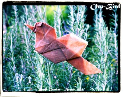 Oru-Bird - Barth Dunkan
test-fold, plié à partir de la base de mon "chipmunk"
Mots-clés: oiseau bird