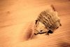 Nom du fichier=bebe_herisson-Eric_Joisel.JPG
Taille du fichier=307Ko
Dimensions : 2048x1384
Ajouté le : 25 Septembre 2014 bebe_herisson-Eric_Joisel.JPG