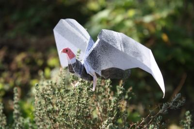 Condor
Un condor, décoré aux crayons de couleur et aérographe
Mots-clés: condor