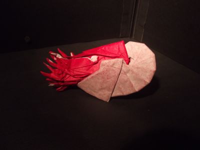 Nautile, vue latérale
Nautile de Manuel Sirgo, Double papier de soie (rouge et blanc) 50*50 cm.
Mots-clés: Sirgo Nautile Soie