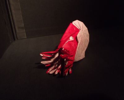 Nautile, vue frontale
Nautile de Manuel Sirgo, Double papier de soie (rouge et blanc) 50*50 cm.
Mots-clés: Nautile, Sirgo, soie