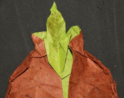 Masque Mojo, arrière ouvert
Là, la structure est ouverte sur le côté droit
