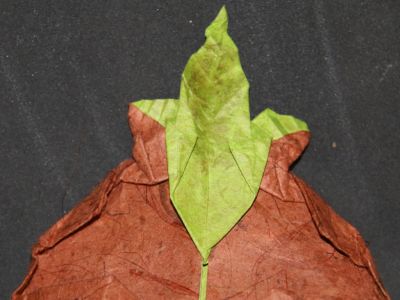 Masque Mojo, arrière
Vue arrière du masque au niveau des feuilles

