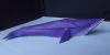 Nom du fichier=whale_quyet.jpg
Taille du fichier=194Ko
Dimensions : 800x402
Ajouté le : 08 Novembre 2015 whale_quyet.jpg