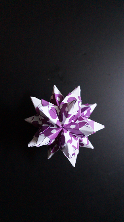 DSC00162c.jpg