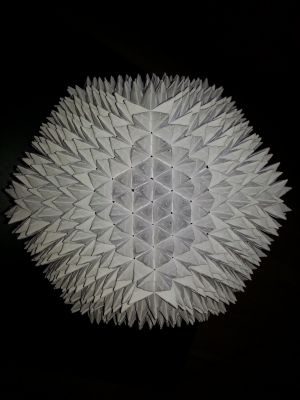 20140903_170050.jpg