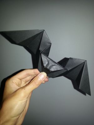 20141029_135515.jpg