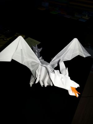 20141031_160149.jpg