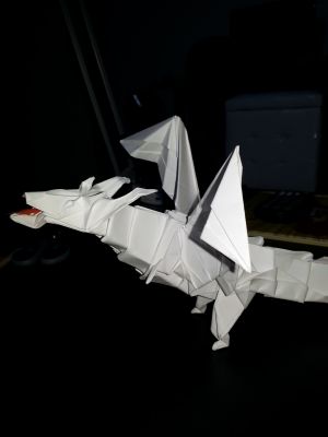 20141031_160412.jpg