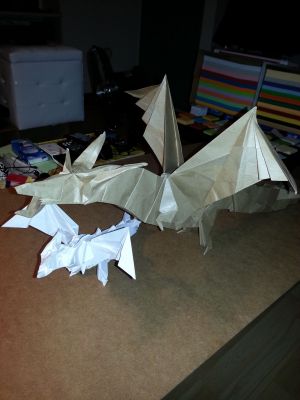20141102_220016.jpg