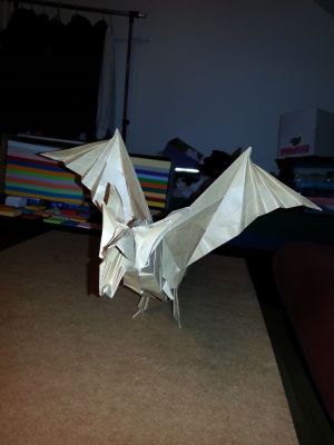 20141102_220124.jpg