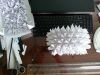 20140726_170946c.jpg