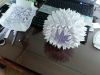 20140726_181012c.jpg