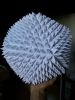 20140903_170639.jpg